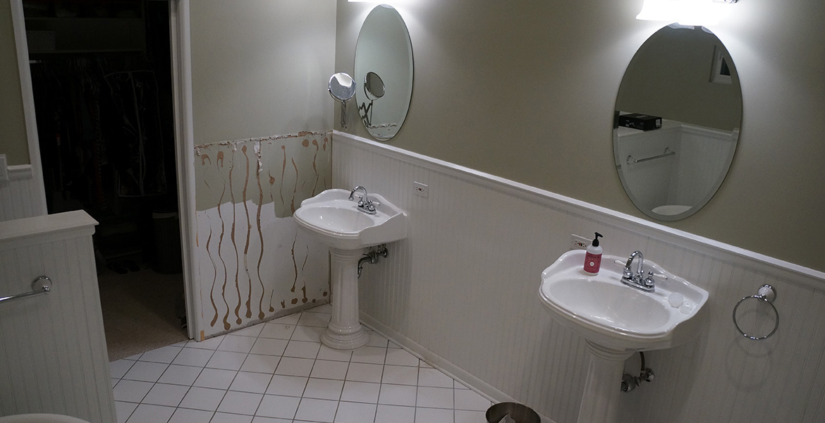 Americraft Downers Grove Hall Bathroom Remodel